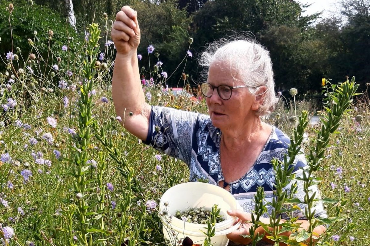 eine Frau umgeben von Pflanzen