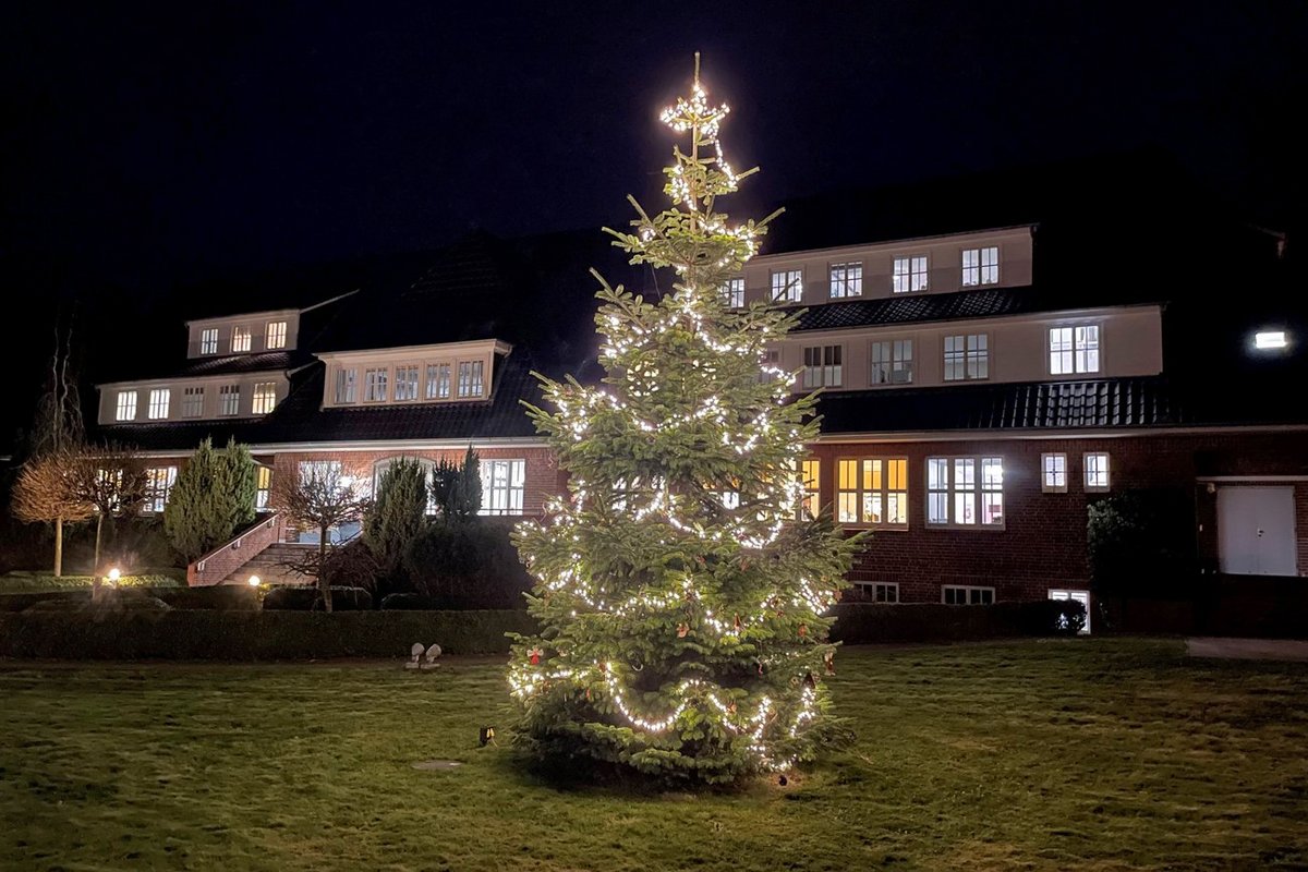 Ein beleuchteter Tannenbaum